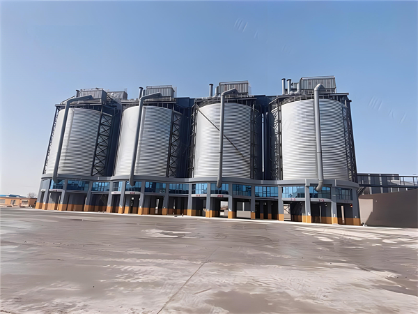 内蒙古大型钢板仓建造施工造价分析与优化策略